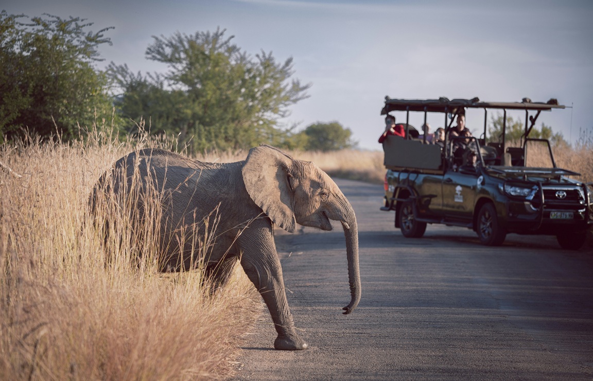 Top 5 SaaS Tools for African Tour Operators (2026)