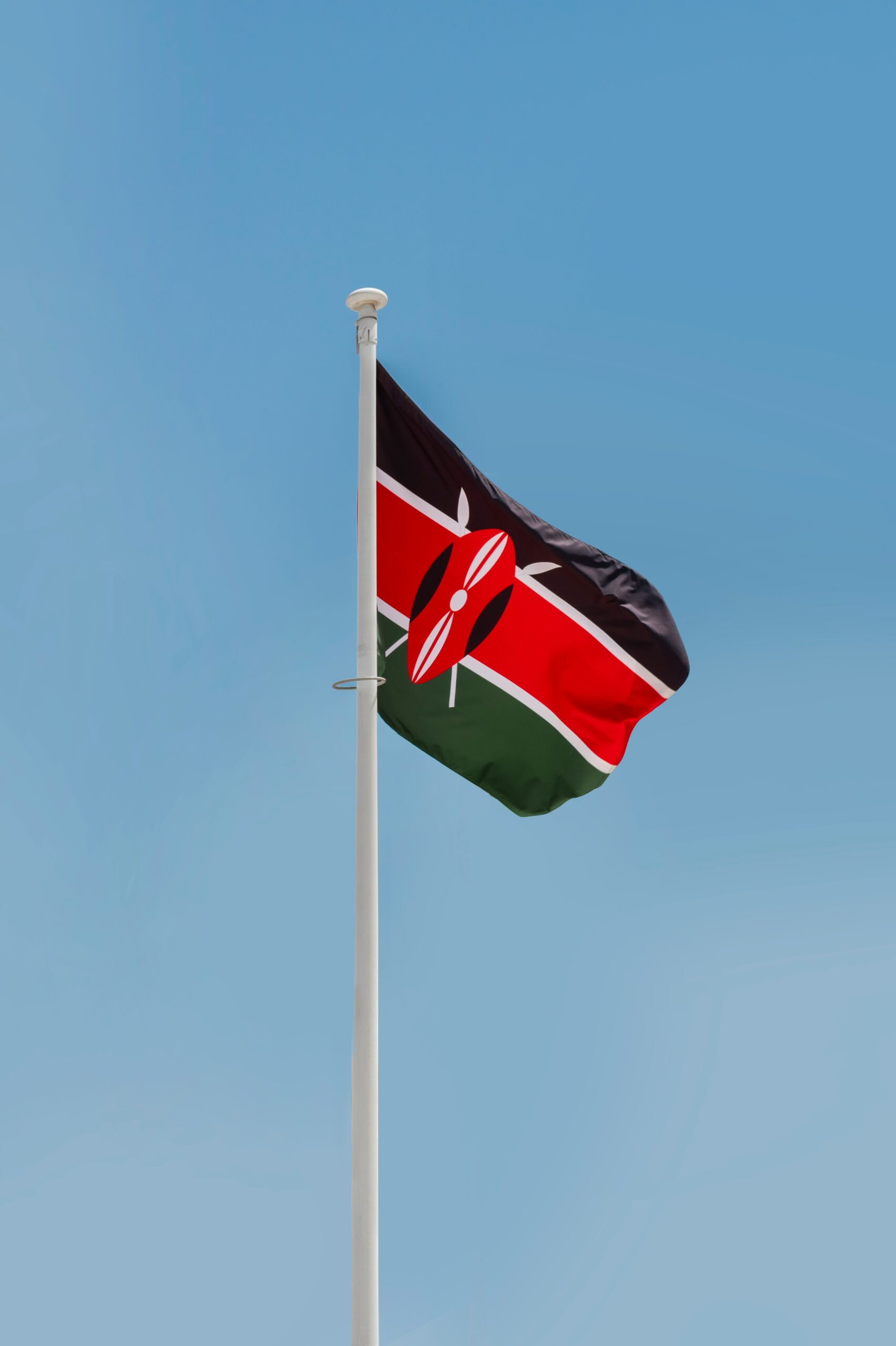 SaaS strategies for cold-chain visibility in Kenyan agribusiness